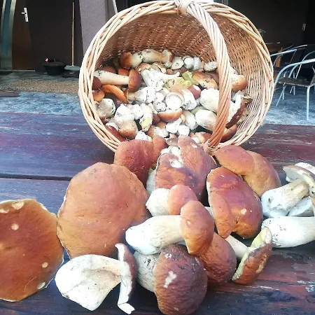 Pokoje Goscinne Nad Jeziorem Slonowice *